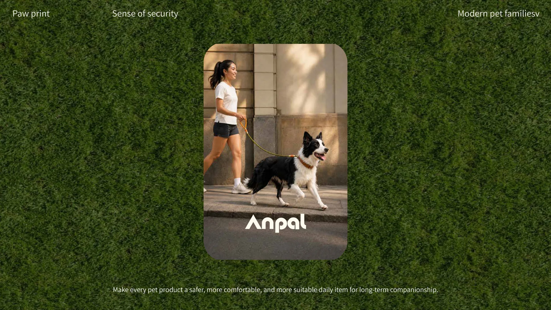 Anpal image 4