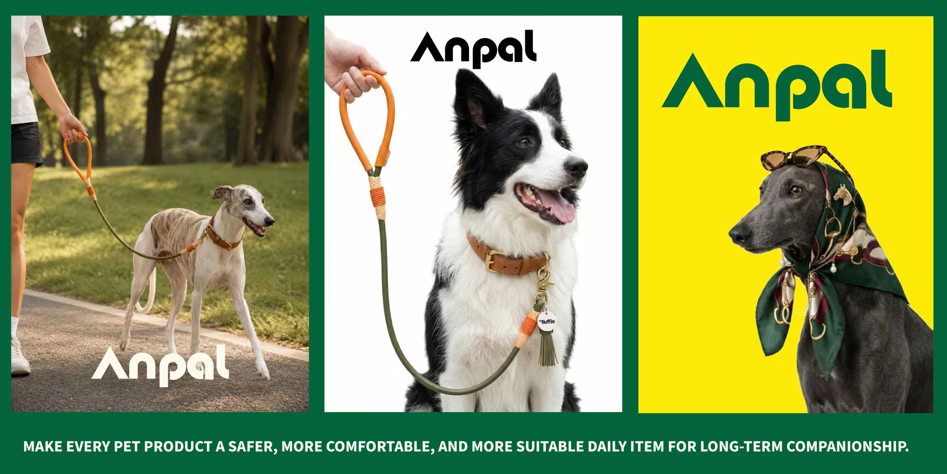 Anpal image 6