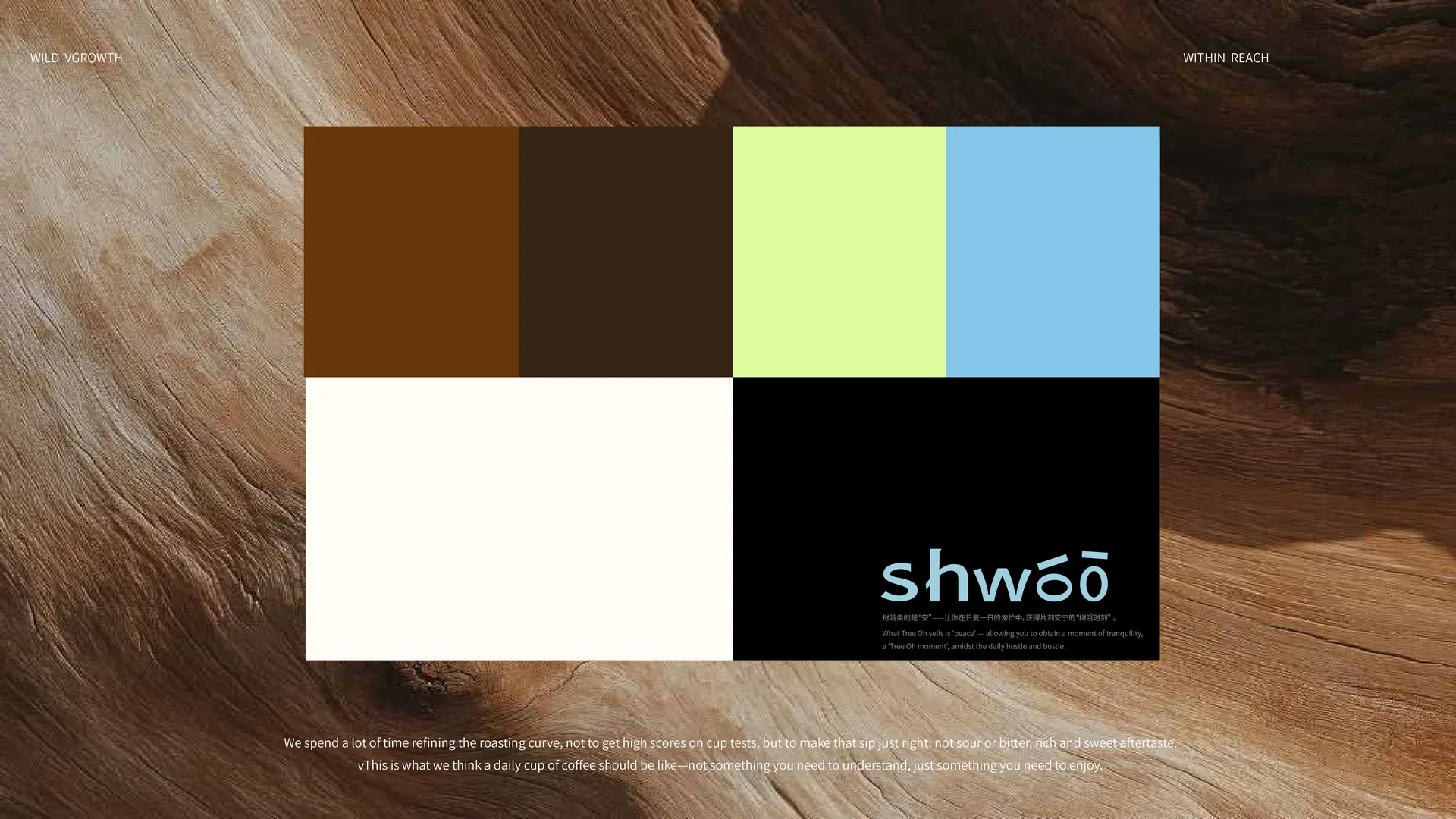 SHWOO image 7